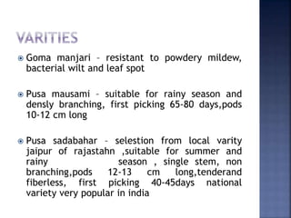  Goma manjari – resistant to powdery mildew,
bacterial wilt and leaf spot
 Pusa mausami – suitable for rainy season and
densly branching, first picking 65-80 days,pods
10-12 cm long
 Pusa sadabahar – selestion from local varity
jaipur of rajastahn ,suitable for summer and
rainy season , single stem, non
branching,pods 12-13 cm long,tenderand
fiberless, first picking 40-45days national
variety very popular in india
 