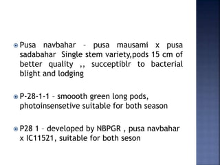  Pusa navbahar – pusa mausami x pusa
sadabahar Single stem variety,pods 15 cm of
better quality ,, succeptiblr to bacterial
blight and lodging
 P-28-1-1 – smoooth green long pods,
photoinsensetive suitable for both season
 P28 1 – developed by NBPGR , pusa navbahar
x IC11521, suitable for both seson
 