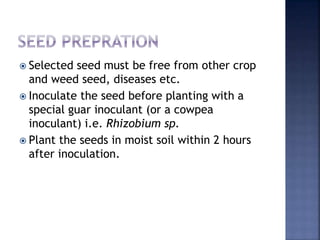  Selected seed must be free from other crop
and weed seed, diseases etc.
 Inoculate the seed before planting with a
special guar inoculant (or a cowpea
inoculant) i.e. Rhizobium sp.
 Plant the seeds in moist soil within 2 hours
after inoculation.
 