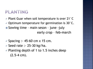  Plant Guar when soil temperature is over 21°C
 Optimum temperature for germination is 30°C.
 Sowing time – main seson – june -july
early crop – feb-march
 Spacing :- 45-60 cm x 15 cm.
 Seed rate :- 25-30 kg/ha.
 Planting depth of 1 to 1.5 inches deep
(2.5-4 cm).
 