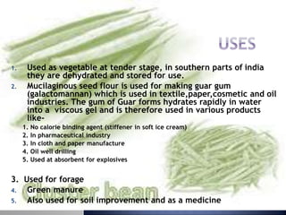 1. Used as vegetable at tender stage, in southern parts of india
they are dehydrated and stored for use.
2. Mucilaginous seed flour is used for making guar gum
(galactomannan) which is used in textile,paper,cosmetic and oil
industries. The gum of Guar forms hydrates rapidly in water
into a viscous gel and is therefore used in various products
like-
1. No calorie binding agent (stiffener in soft ice cream)
2. In pharmaceutical industry
3. In cloth and paper manufacture
4. Oil well drilling
5. Used at absorbent for explosives
3. Used for forage
4. Green manure
5. Also used for soil improvement and as a medicine
 