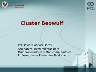 Cluster Beowulf



Por: Javier Condori Flores
Asignatura: Herramientas para
Multiprocesadores y Multicomputadores
Profesor: Javier Fernández Baldomero
 