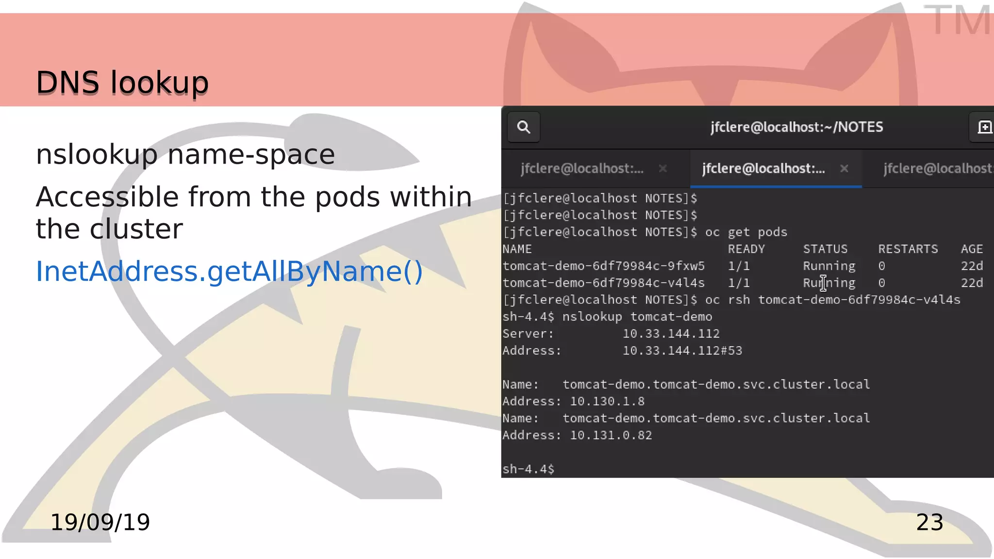 TM
2319/09/19
DNS lookupDNS lookup
nslookup name-space
Accessible from the pods within
the cluster
InetAddress.getAllByName()
 