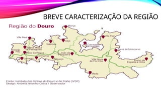BREVE CARACTERIZAÇÃO DA REGIÃO
 