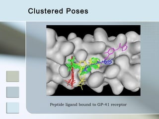 Clustered Poses




     Peptide ligand bound to GP-41 receptor
 