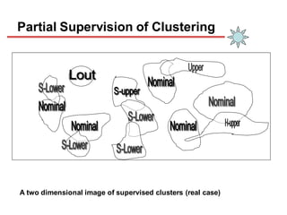 A two dimensional image of supervised clusters (real case)
Partial Supervision of Clustering
 