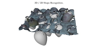 3D / 2D Shape Recognition.
 