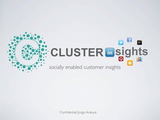CLUSTER                         sights
socially enabled customer insights




    Conﬁdential Jorge Araluce
 