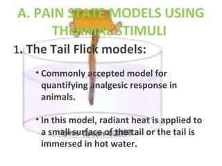 A. PAIN STATE MODELS USING
THERMAL STIMULI
1. The Tail Flick models:
• Commonly accepted model for
quantifying analgesic response in
animals.
• In this model, radiant heat is applied to
a small surface of the tail or the tail is
immersed in hot water.
 