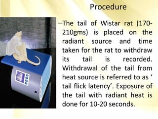 Procedure
–The tail of Wistar rat (170-
210gms) is placed on the
radiant source and time
taken for the rat to withdraw
its tail is recorded.
Withdrawal of the tail from
heat source is referred to as ‘
tail flick latency’. Exposure of
the tail with radiant heat is
done for 10-20 seconds.
 