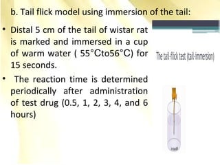 b. Tail flick model using immersion of the tail:
• Distal 5 cm of the tail of wistar rat
is marked and immersed in a cup
of warm water ( 55°Cto56°C) for
15 seconds.
• The reaction time is determined
periodically after administration
of test drug (0.5, 1, 2, 3, 4, and 6
hours)
 
