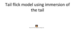 Tail flick model using immersion of
the tail
Mouse Tail-Flick, Allegheny College.mp4
 