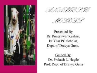 ANALGESIC
MODELS
Presented By
Dr. Puneshwar Keshari,
Ist Year PG Scholar,
Dept. of Dravya Guna,
Guided By
Dr. Prakash L. Hegde
Prof. Dept. of Dravya Guna
 