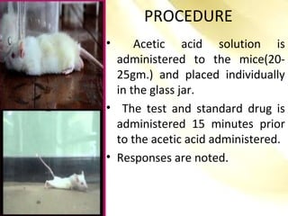 PROCEDURE
• Acetic acid solution is
administered to the mice(20-
25gm.) and placed individually
in the glass jar.
• The test and standard drug is
administered 15 minutes prior
to the acetic acid administered.
• Responses are noted.
 
