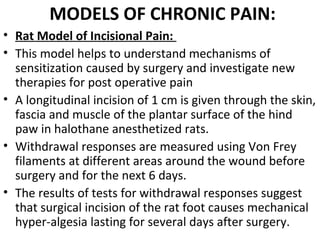 MODELS OF CHRONIC PAIN:
• Rat Model of Incisional Pain:
• This model helps to understand mechanisms of
sensitization caused by surgery and investigate new
therapies for post operative pain
• A longitudinal incision of 1 cm is given through the skin,
fascia and muscle of the plantar surface of the hind
paw in halothane anesthetized rats.
• Withdrawal responses are measured using Von Frey
filaments at different areas around the wound before
surgery and for the next 6 days.
• The results of tests for withdrawal responses suggest
that surgical incision of the rat foot causes mechanical
hyper-algesia lasting for several days after surgery.
 