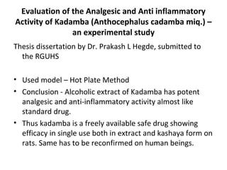 Evaluation of the Analgesic and Anti inflammatory
Activity of Kadamba (Anthocephalus cadamba miq.) –
an experimental study
Thesis dissertation by Dr. Prakash L Hegde, submitted to
the RGUHS
• Used model – Hot Plate Method
• Conclusion - Alcoholic extract of Kadamba has potent
analgesic and anti-inflammatory activity almost like
standard drug.
• Thus kadamba is a freely available safe drug showing
efficacy in single use both in extract and kashaya form on
rats. Same has to be reconfirmed on human beings.
 
