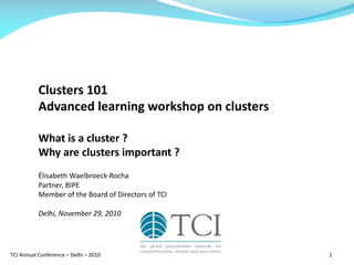 TCI	Annual	Conference	– Delhi	– 2010 1
Clusters	101
Advanced	learning	workshop	on	clusters	
What	is	a	cluster	?
Why	are	clusters	important	?
Élisabeth	Waelbroeck-Rocha
Partner,	BIPE
Member	of	the	Board	of	Directors	of	TCI
Delhi,	November	29,	2010
 