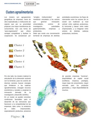 Cluster 1
Por otro lado, los clusters implican la
articulación de la dimensión sectorial
con la territorial, pues los actores de
diversos sectores buscan sinergias
que fortalecen a las cadenas
agroalimentarias, conjugan recursos
económicos y sociales y, propician la
innovación derivada de la
investigación y desarrollo científico.
En un cluster se pueden encontrar
condiciones favorables para el
desarrollo de las estructuras que
favorecen a la competitividad de las
empresas, tales como, la existencia
de redes empresariales,
especialización productiva, presencia
de grandes empresas “tractoras”,
disponibilidad de capital social
(confianza, reciproca, prestigio),
mayor base de conocimiento, mayor
mercado para los productos
generados, y mejor disponibilidad de
insumos.
Página | 6
WWW.VILUMAINNOVARE.ORG
Los clusters son agrupaciones
geográficas de empresas, mano de
obra especializada, e instituciones de
soporte que por su proximidad
propician una mayor transferencia de
conocimiento. Son una forma de
“auto­organización” que ofrece
ventajas competitivas y facilitan la
cooperación. Se caracterizan por
“arreglos institucionales” que
mantienen vinculados a los actores
que generan innovación:
universidades, centros de
investigación, autoridades
gubernamentales, empresas y
productores.
Dado que existe una concentración
territorial de empresas de distintas
actividades económicas, los flujos de
intercambio entre los actores de un
cluster son multinivel: a) nivel
vertical: entre cadenas productivas,
b) horizontal y lateral: entre redes
empresariales, y c) Diagonal: entre
actores de distintas cadenas
productivas y sectores.
Clustersagroalimentarios
Cluster 2
Cluster 3
Cluster 4
Cluster 5
VILUMAINNOVARE MEXICO
 