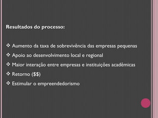 Resultados do processo: Aumento da taxa de sobrevivência das empresas pequenas Apoio ao desenvolvimento local e regional Maior interação entre empresas e instituições acadêmicas Retorno ($$) Estimular o empreendedorismo 