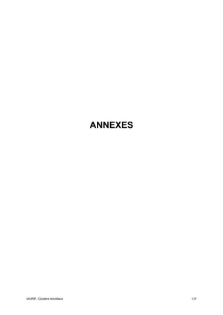 ANNEXES




IAURIF, Clusters mondiaux             137
 