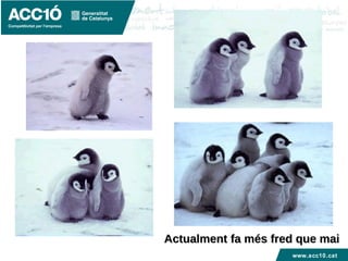 www.acc10.cat
Actualment fa més fred que maiActualment fa més fred que mai
 