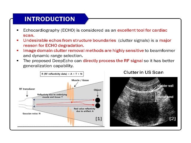 Clutter suppressed deep beamformer for echocardiography using deep ...