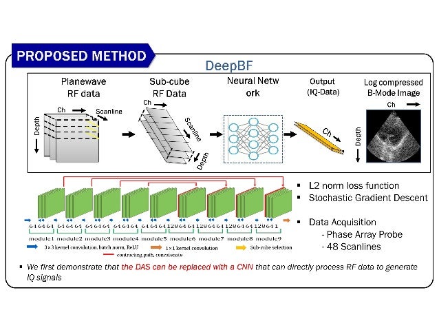 Clutter suppressed deep beamformer for echocardiography using deep ...