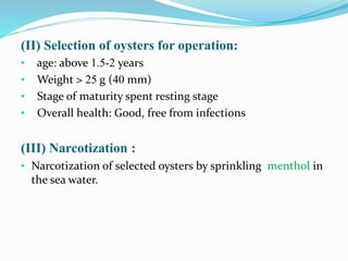 (II) Selection of oysters for operation:
• age: above 1.5-2 years
• Weight > 25 g (40 mm)
• Stage of maturity spent restin...