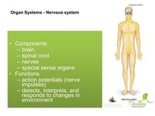 Organ Systems - Nervous system

• Components
– brain
– spinal cord
– nerves
– special sense organs
• Functions
– action potentials (nerve
impulses)
– detects, interprets, and
responds to changes in
environment

 