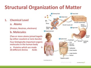 Structural Organization of Matter
1. Chemical Level
a. Atoms
(Proton, Neutron, electrons)

b. Molecules
(Two or more atoms joined together
by either covalent or ionic bonds)
Four biologically important organic
molecules in the human body
a. Proteins which are made
from
20 different Amino
Acids

 