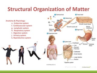 Structural Organization of Matter
Anatomy & Physiology:
e. Endocrine system
f. Cardiovascular system
g. Lymphatic system
h. Respiratory system
I. Digestive system
j. Urinary system
k. Reproductive system

 