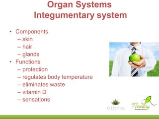 Organ Systems
Integumentary system
• Components
– skin
– hair
– glands
• Functions
– protection
– regulates body temperature
– eliminates waste
– vitamin D
– sensations

 