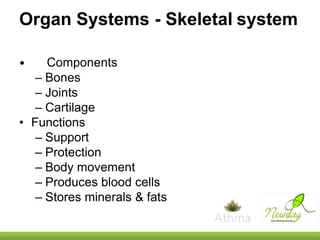 Organ Systems - Skeletal system
Components
– Bones
– Joints
– Cartilage
• Functions
– Support
– Protection
– Body movement
– Produces blood cells
– Stores minerals & fats
•

 