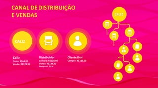 CANAL DE DISTRIBUIÇÃO
E VENDAS

CALIZ

Caliz
Custo: R$63,00
Venda: R$128,90

Distribuidor

Cliente final

Compra: R$128,90
Venda: R$229,00
Margem: 75%

Compra: R$ 229,00

 