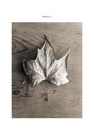 IMAGEN 21
 