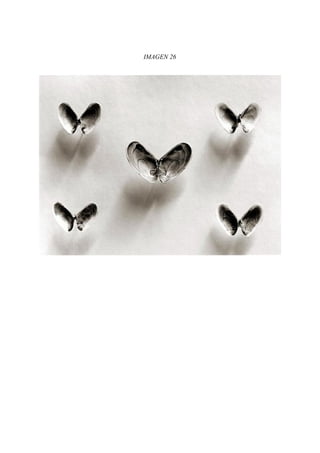 IMAGEN 26
 