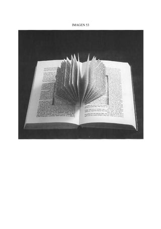 IMAGEN 53
 