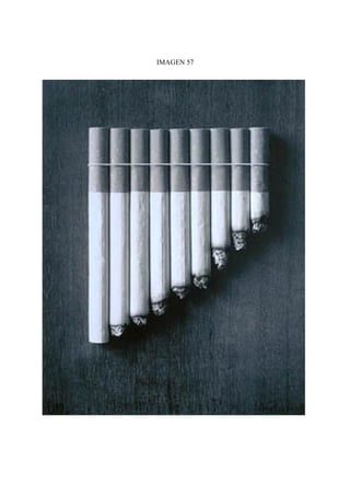 IMAGEN 57
 