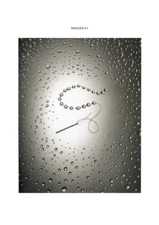 IMAGEN 61
 