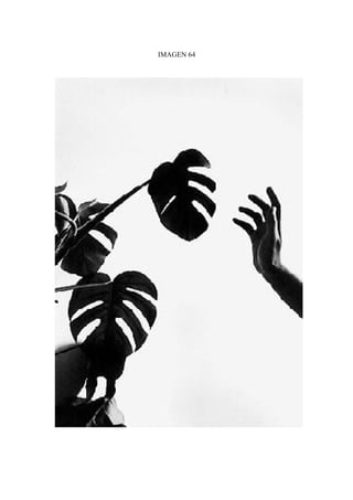 IMAGEN 64
 