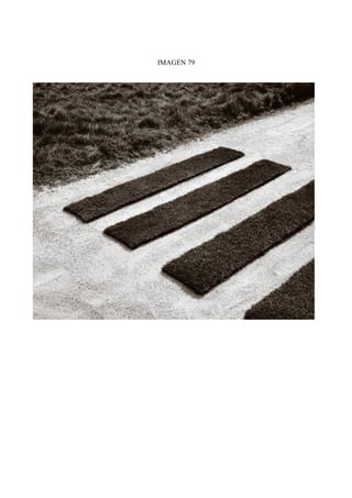 IMAGEN 79
 