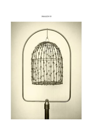 IMAGEN 93
 