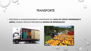 TRANSPORTE
• PROCURAR O ACONDICIONAMENTO APROPRIADO EM CAIXAS OU CESTOS APROPRIADOS E
LIMPOS, UTILIZAR VEÍCULOS PROVIDOS DE SISTEMAS DE REFRIGERAÇÃO.
 
