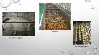 Imersão em água
Flotação
Lavagem por spray
 