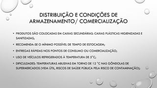 DISTRIBUIÇÃO E CONDIÇÕES DE
ARMAZENAMENTO/ COMERCIALIZAÇÃO
• PRODUTOS SÃO COLOCADAS EM CAIXAS SECUNDÁRIAS: CAIXAS PLÁSTICAS HIGIENIZADAS E
SANITIZADAS;
• RECOMENDA-SE O MÍNIMO POSSÍVEL DE TEMPO DE ESTOCAGEM;
• ENTREGAS RÁPIDAS NOS PONTOS DE CONSUMO OU COMERCIALIZAÇÃO;
• USO DE VEÍCULOS REFRIGERADOS À TEMPERATURA DE 5°C;
• DIFICULDADES: TEMPERATURAS ABUSIVAS EM TORNO DE 12 °C NAS GÔNDOLAS DE
SUPERMERCADOS (VIDA ÚTIL, RISCOS DE SAÚDE PÚBLICA PELA RISCO DE CONTAMINAÇÃO);
 