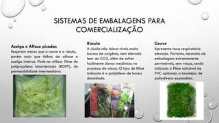 SISTEMAS DE EMBALAGENS PARA
COMERCIALIZAÇÃO
Acelga e Alface picadas
Respiram menos que a couve e a rúcula,
porém mais que folhas de alface e
acelga inteiras. Pode-se utilizar filme de
polipropileno bioorientado (BOPP), de
permeabilidade intermediária.
Rúcula
A rúcula não tolera níveis muito
baixos de oxigênio, nem elevado
teor de CO2, além de sofrer
facilmente danos mecânicos no
processo de vácuo. O tipo de filme
indicado é o polietileno de baixa
densidade.
Couve
Apresenta taxa respiratória
elevada. Portanto, necessita de
embalagens extremamente
permeáveis, sem vácuo, sendo
indicado o filme esticável de
PVC aplicado a bandejas de
poliestireno expandido.
 