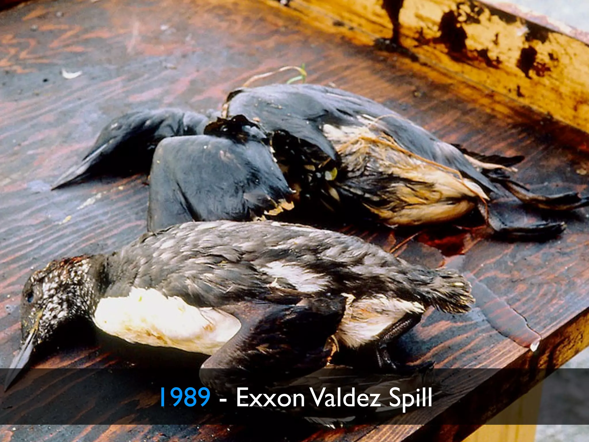 1989 - Exxon Valdez Spill
 