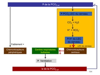  de la PCO2 art
 PCO2 LEC du cerveau
CO2 + H20
H+ + HC03
-
 H+ du LEC
du cerveau
Centres respiratoires
bulbaires
 Ventilation
 de la PCO2 art
Chémorécepteurs
centraux
Chémorécepteurs
périphériques
LEC du cerveau
+
+
-
Faiblement +
104
 