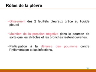 Rôles de la plèvre
• Glissement des 2 feuillets pleuraux grâce au liquide
pleural
• Maintien de la pression négative dans le poumon de
sorte que les alvéoles et les bronches restent ouvertes.
• Participation à la défense des poumons contre
l’inflammation et les infections.
18
 