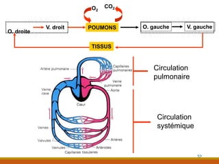 Circulation
pulmonaire
Circulation
systémique
O. gauche V. gauche
POUMONS
O2
CO2
O. droite
V. droit
TISSUS
32
 